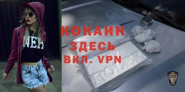 Альфа ПВП Инта