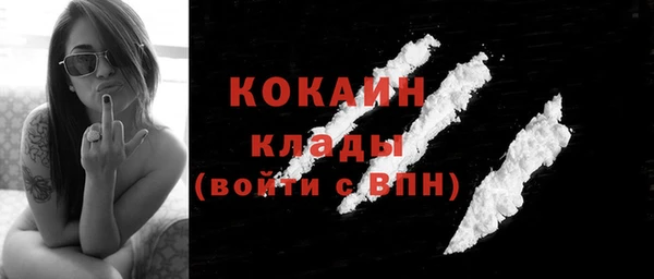 Альфа ПВП Инта
