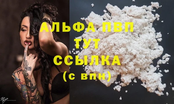 Альфа ПВП Инта